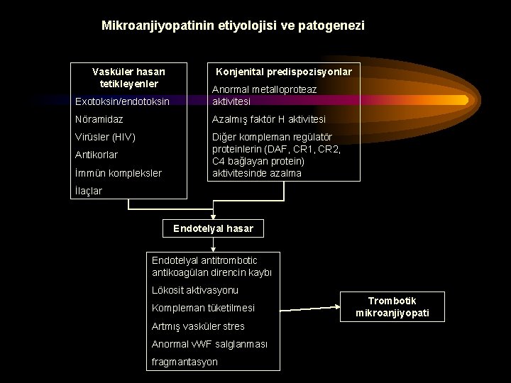 Mikroanjiyopatinin etiyolojisi ve patogenezi Vasküler hasarı tetikleyenler Konjenital predispozisyonlar Exotoksin/endotoksin Anormal metalloproteaz aktivitesi Nöramidaz