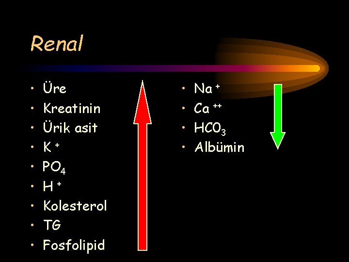 Renal • • • Üre Kreatinin Ürik asit K+ PO 4 H+ Kolesterol TG