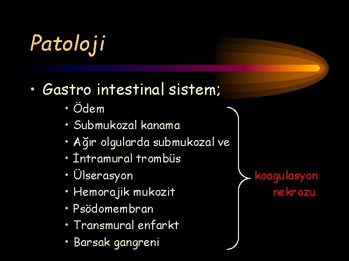 Patoloji • Gastro intestinal sistem; • • • Ödem Submukozal kanama Ağır olgularda submukozal