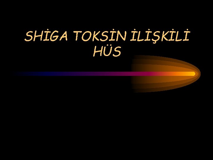 SHİGA TOKSİN İLİŞKİLİ HÜS 