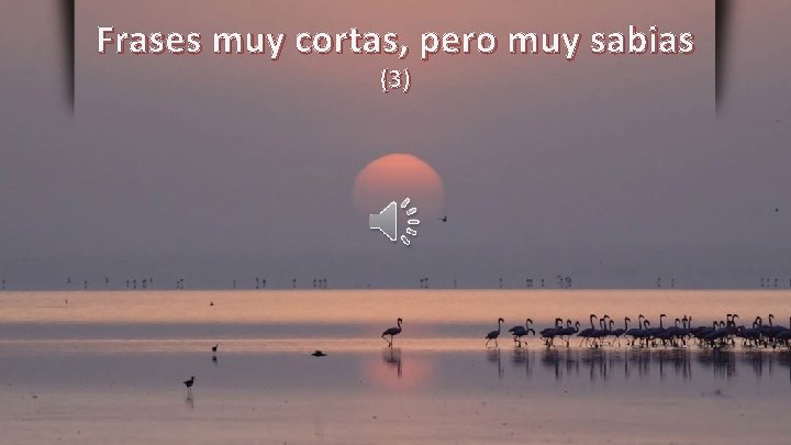 Frases muy cortas, pero muy sabias (3) 