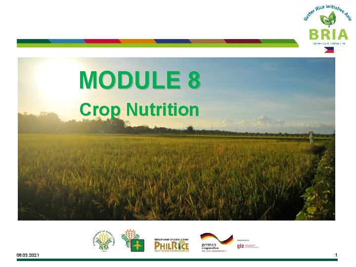 MODULE 8 Crop Nutrition 08. 03. 2021 1 