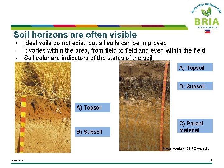 Soil horizons are often visible • Ideal soils do not exist, but all soils