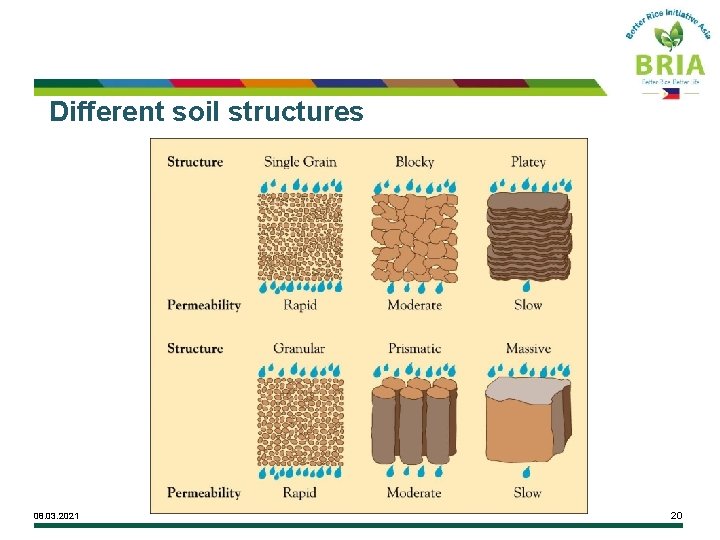 Different soil structures 08. 03. 2021 20 