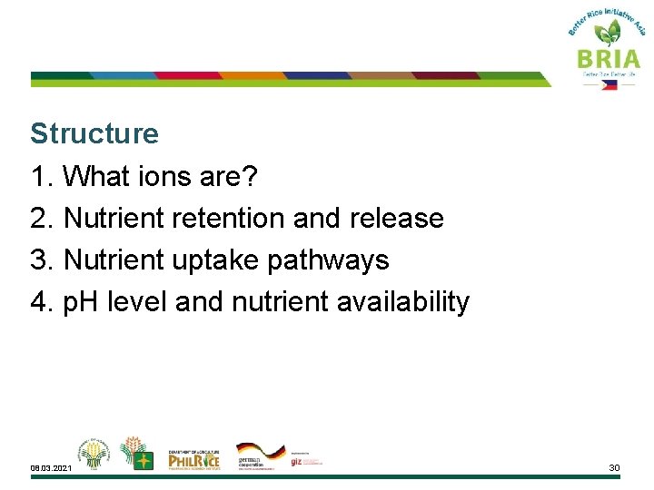 Structure 1. What ions are? 2. Nutrient retention and release 3. Nutrient uptake pathways