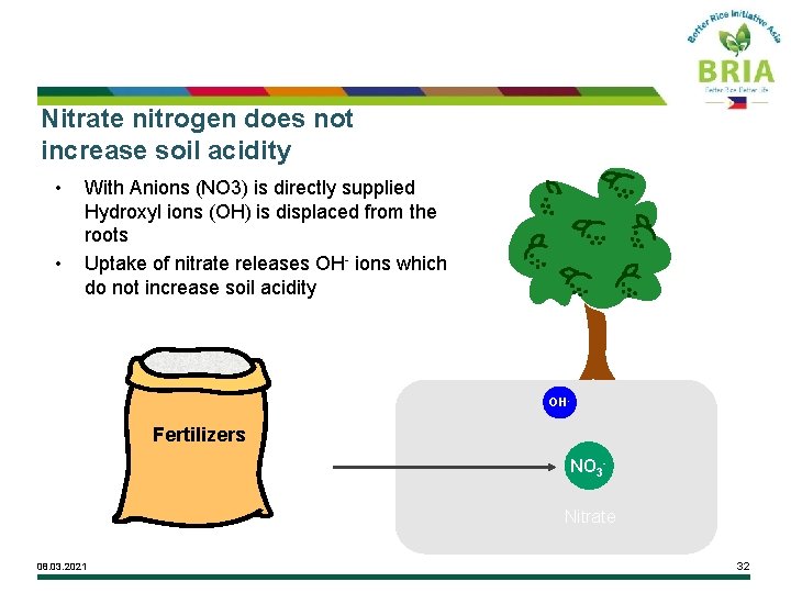 Nitrate nitrogen does not increase soil acidity • • With Anions (NO 3) is