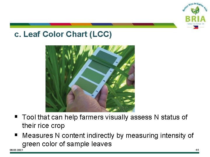 c. Leaf Color Chart (LCC) § Tool that can help farmers visually assess N