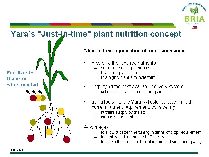 Yara’s "Just-in-time" plant nutrition concept “Just-in-time” application of fertilizers means • Fertilizer to the