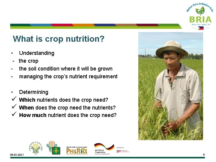 What is crop nutrition? • Understanding - the crop - the soil condition where