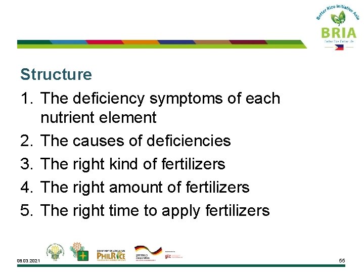 Structure 1. The deficiency symptoms of each nutrient element 2. The causes of deficiencies