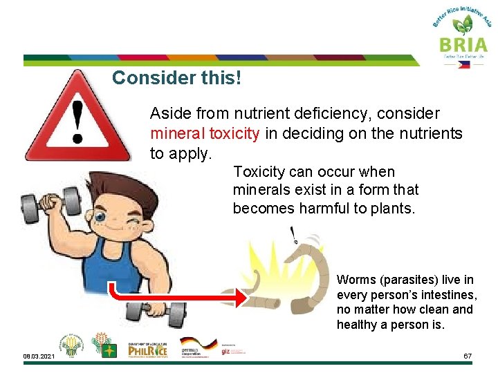 Consider this! Aside from nutrient deficiency, consider mineral toxicity in deciding on the nutrients