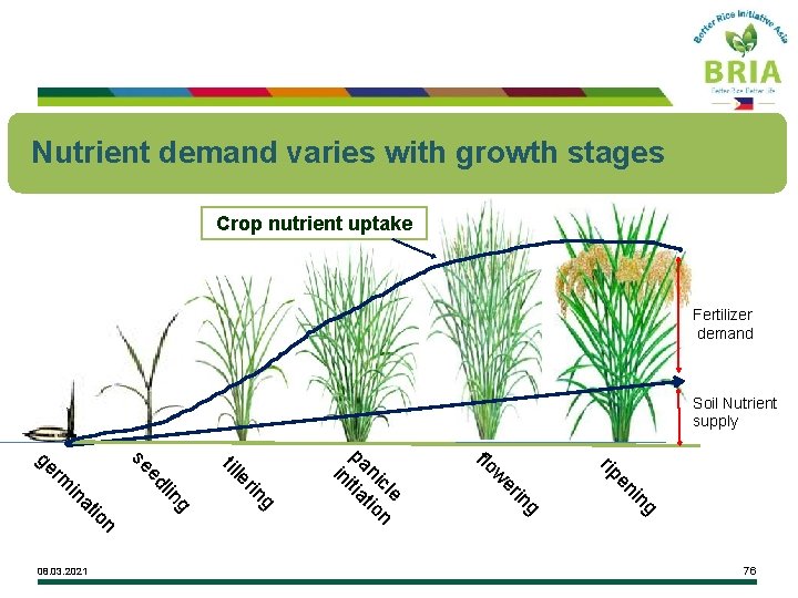 Nutrient demand varies with growth stages Crop nutrient uptake Fertilizer demand Soil Nutrient supply