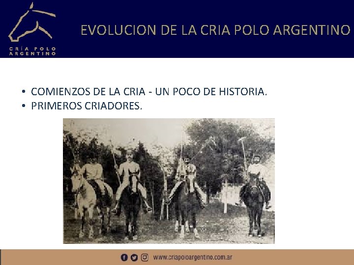 EVOLUCION DE LA CRIA POLO ARGENTINO • COMIENZOS DE LA CRIA - UN POCO