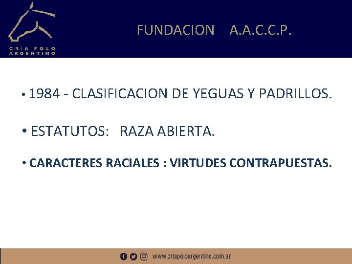 FUNDACION A. A. C. C. P. • 1984 - CLASIFICACION DE YEGUAS Y PADRILLOS.
