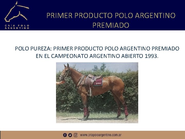PRIMER PRODUCTO POLO ARGENTINO PREMIADO POLO PUREZA: PRIMER PRODUCTO POLO ARGENTINO PREMIADO EN EL