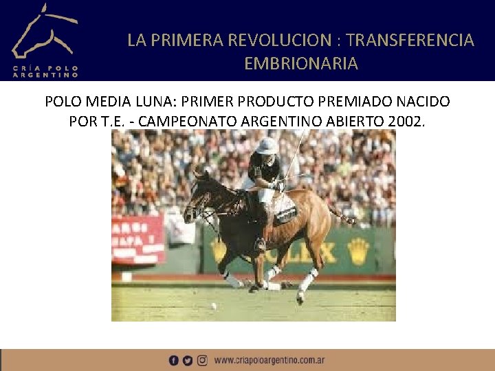 LA PRIMERA REVOLUCION : TRANSFERENCIA EMBRIONARIA POLO MEDIA LUNA: PRIMER PRODUCTO PREMIADO NACIDO POR