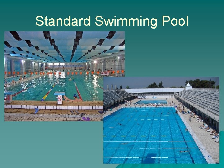 Standard Swimming Pool 