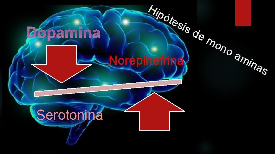 Dopamina Hip óte sis Norepinefrina Serotonina de mo no am ina s 