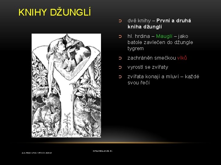KNIHY DŽUNGLÍ http: //images. google. com/imgres? imgurl=http: //upload. wikimedia. org/wikipedia/commons/thumb/5/5 e/Mowgli-1895 illustration. png/250 px-Mowgli-1895