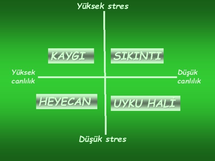 Yüksek stres KAYGI SIKINTI Yüksek canlılık Düşük canlılık HEYECAN UYKU HALİ Düşük stres 