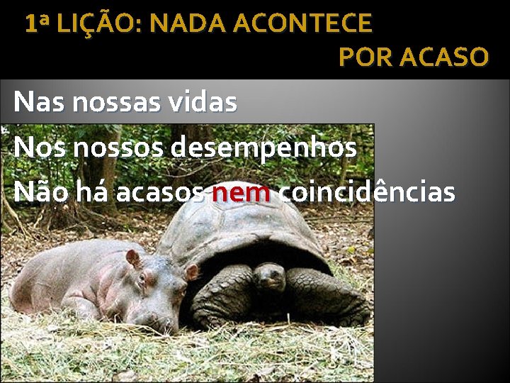 1ª LIÇÃO: NADA ACONTECE POR ACASO Nas nossas vidas Nos nossos desempenhos Não há