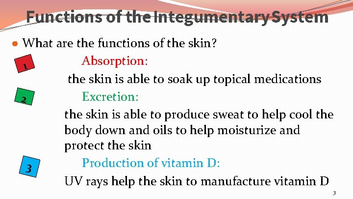 Functions of the Integumentary System ● What are the functions of the skin? 1