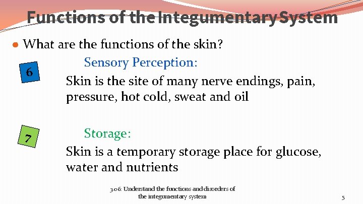 Functions of the Integumentary System ● What are the functions of the skin? 6