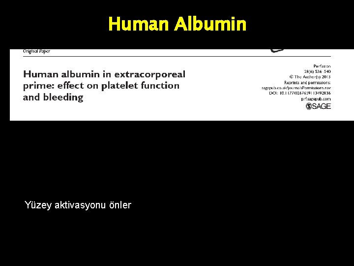 Human Albumin Yüzey aktivasyonu önler 