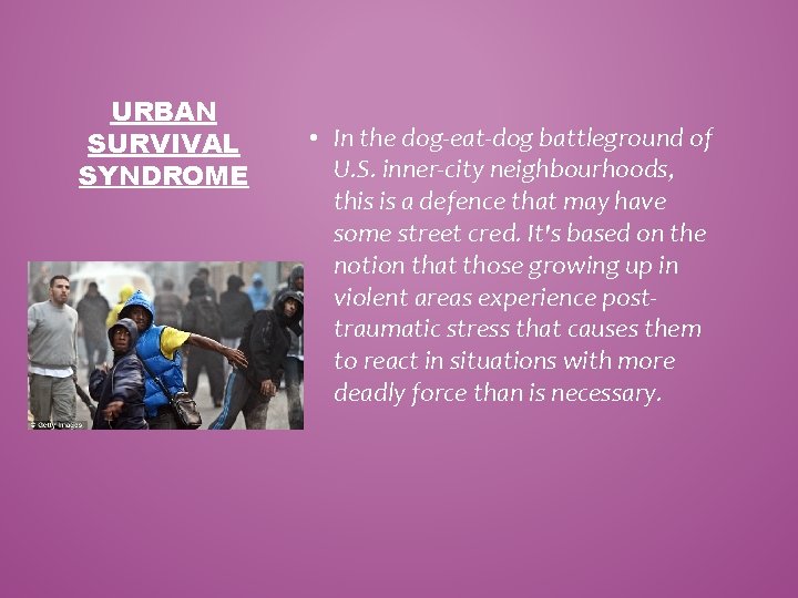 URBAN SURVIVAL SYNDROME • In the dog-eat-dog battleground of U. S. inner-city neighbourhoods, this