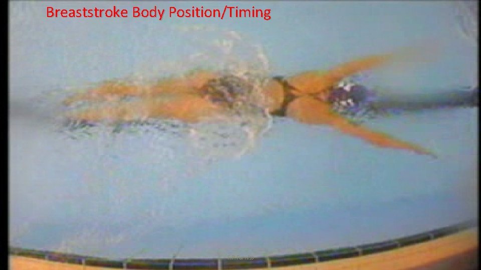 Breaststroke Body Position/Timing F. P. Furniss 