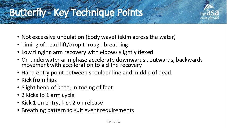 Butterfly - Key Technique Points • • • Not excessive undulation (body wave) (skim