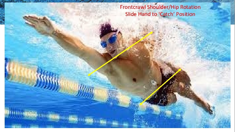 Frontcrawl Shoulder/Hip Rotation Slide Hand to ‘Catch’ Position F. P. Furniss 