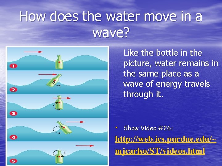 How does the water move in a wave? Like the bottle in the picture, How does the water move in a wave? Like the bottle in the picture,