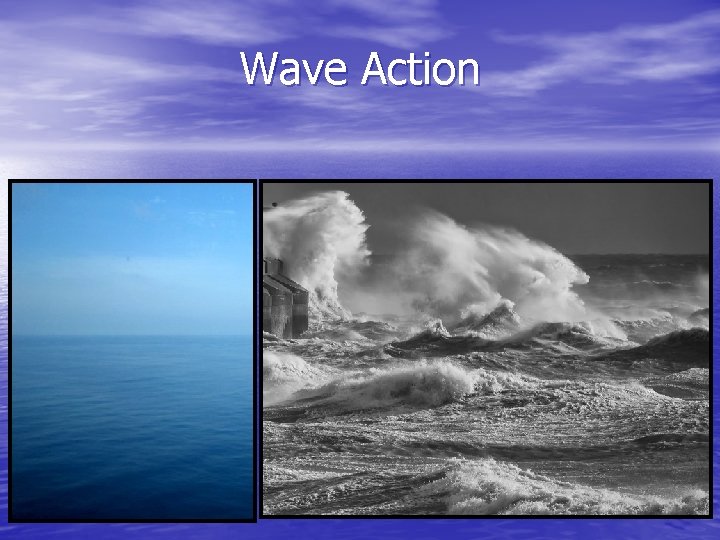 Wave Action Wave Action