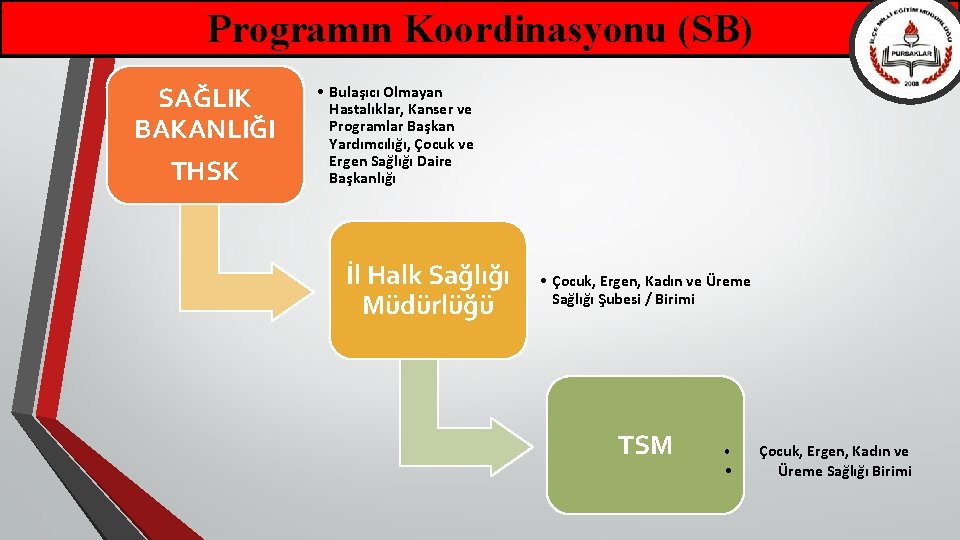 Programın Koordinasyonu (SB) SAĞLIK BAKANLIĞI THSK • Bulaşıcı Olmayan Hastalıklar, Kanser ve Programlar Başkan