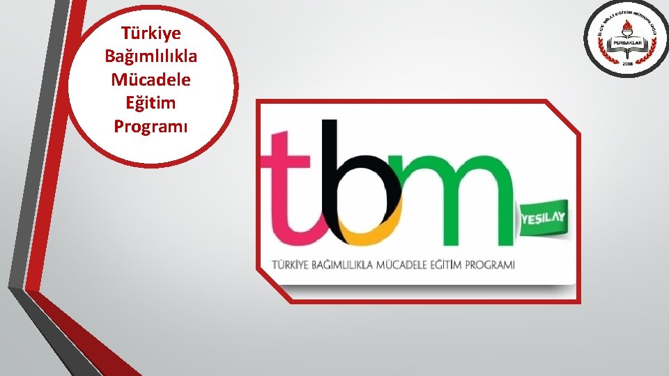 Türkiye Bağımlılıkla Mücadele Eğitim Programı 