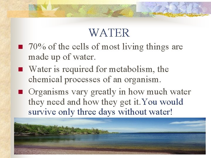 WATER n n n 70% of the cells of most living things are made