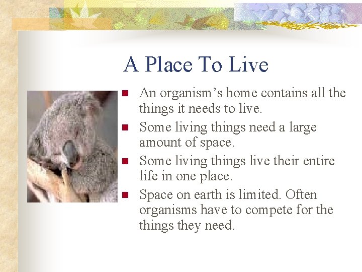 A Place To Live n n An organism’s home contains all the things it