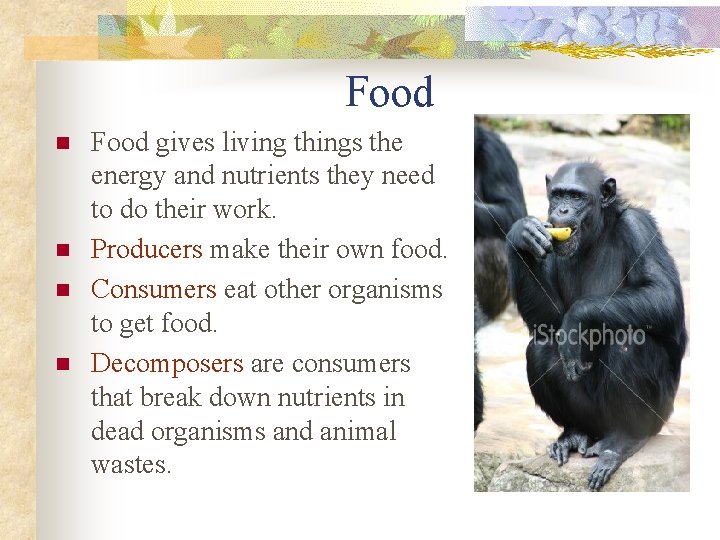 Food n n Food gives living things the energy and nutrients they need to