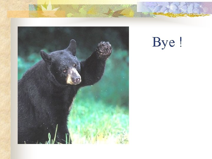 Bye ! 