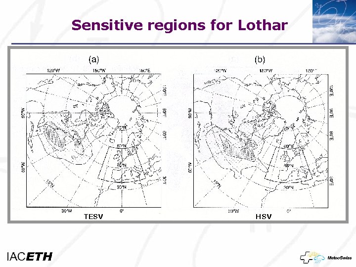 Sensitive regions for Lothar TESV HSV 