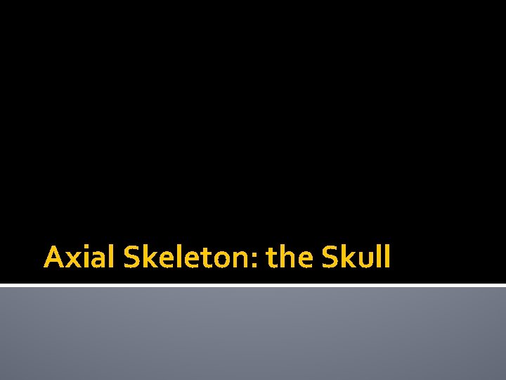 Axial Skeleton: the Skull 