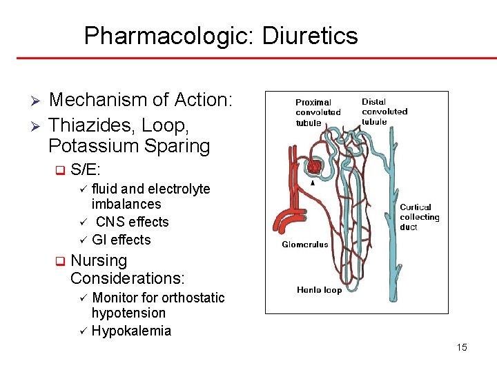 Pharmacologic: Diuretics Ø Ø Mechanism of Action: Thiazides, Loop, Potassium Sparing q S/E: fluid