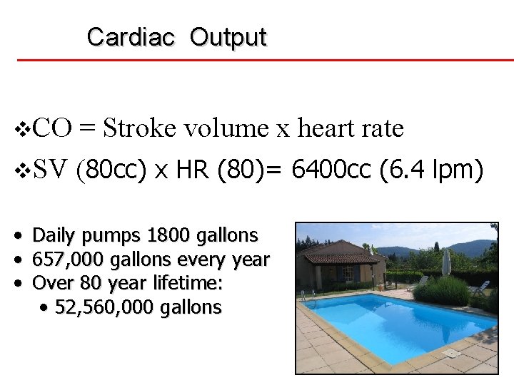 Cardiac Output v. CO = Stroke volume x heart rate v. SV (80 cc)