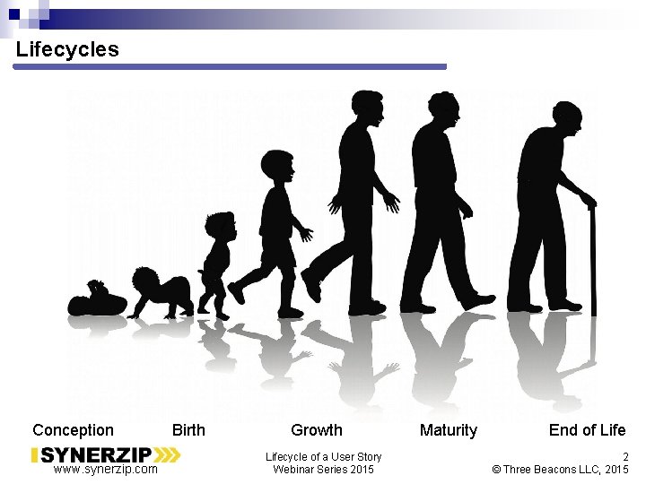 Lifecycles Conception www. synerzip. com Birth Growth Lifecycle of a User Story Webinar Series