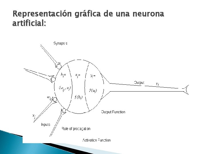 Representación gráfica de una neurona artificial: 