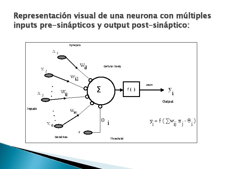 Representación visual de una neurona con múltiples inputs pre-sinápticos y output post-sináptico: Synapsis Cellular