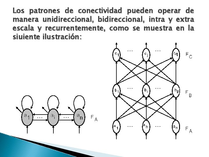 Los patrones de conectividad pueden operar de manera unidireccional, bidireccional, intra y extra escala