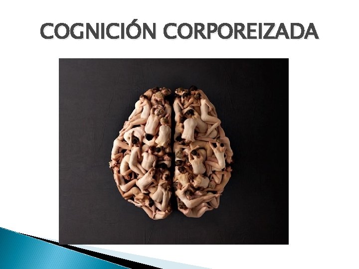 COGNICIÓN CORPOREIZADA 