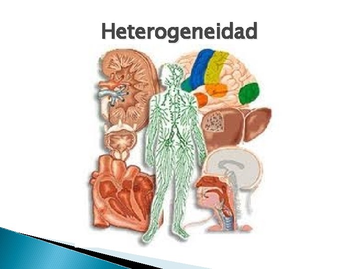 Heterogeneidad 